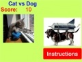 Joc Cat vs Dog!