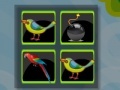 Joc Bomb Memory-Birds