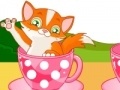 Joc Cat in Cup