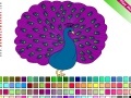 Joc Peacock Coloring