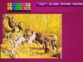 Joc Five aries on the woods puzzle