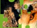 Joc Jigsaws:Wild Animals 2