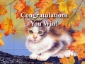 Joc Art Kittens Puzzles 2