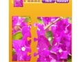 Joc Bougainvillea Jigsaw