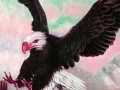 Joc Wild acrobat eagle puzzle