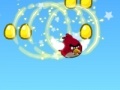 Joc Angry birds: Rock bird