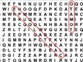 Joc Word Search