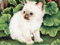 Joc Art Kittens Jigsaw 3