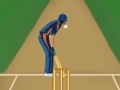 Joc Super Cricket
