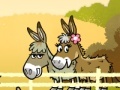 Joc Mi and my donkey