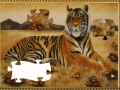 Joc Year of the Tiger 2010