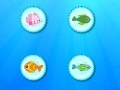 Joc Color Fish Quest