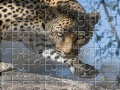 Joc Leopard Jigsaw Puzzle