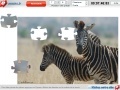 Joc Zebras Jigsaw