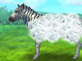 Joc Feed Zebra