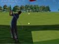 Joc Flash Golf 2