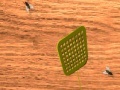 Joc Fly Swatter