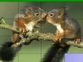 Joc Lovely squirrels slide puzzle