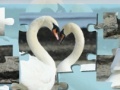 Joc Valentine Swans