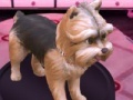 Joc Barbie: Groom and Glam Pups