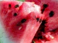 Joc Watermelon
