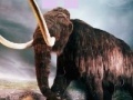 Joc Puzzle - Mammoth