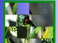 Joc Green butterfly slide puzzle