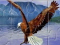Joc Eagle