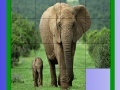 Joc Mother and tiny elephant slide puzzle