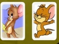 Joc Tom and Jerry Cards Match