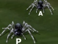 Joc Tarantuloid Typing Terror