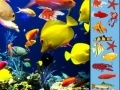 Joc Underwater Hidden Objects