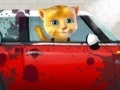 Joc Ginger car wash