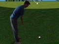Joc Flash Golf 3D