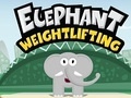 Joc Elephant Weight Lifting