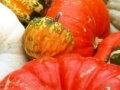 Joc Hidden Objects-Pumpkin Show