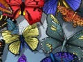 Joc Find the spot butterflies