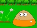 Joc Puzzle Pou in Garden