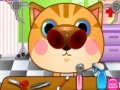 Joc Doctor Cat Nose