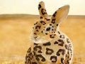 Joc Spotted rabbit slide puzzle