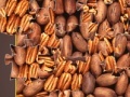 Joc Pecan Mosaic Jigsaw