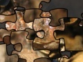 Joc Puzzle of the American toad