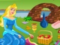Joc Princess Aurora. Picnic cleaning