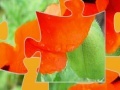 Joc Oriental Poppy Jigsaw