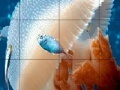 Joc Mosaic jellyfish slide puzzle