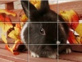 Joc Puzzles Grey Rabbits