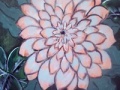 Joc Dahlia Slider