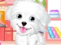 Joc Fluffy puppy pet: Spa and care
