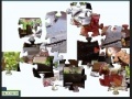 Joc TeapotJigsaw