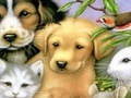 Joc Cute Animals Align Image